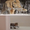 Jojo cat
