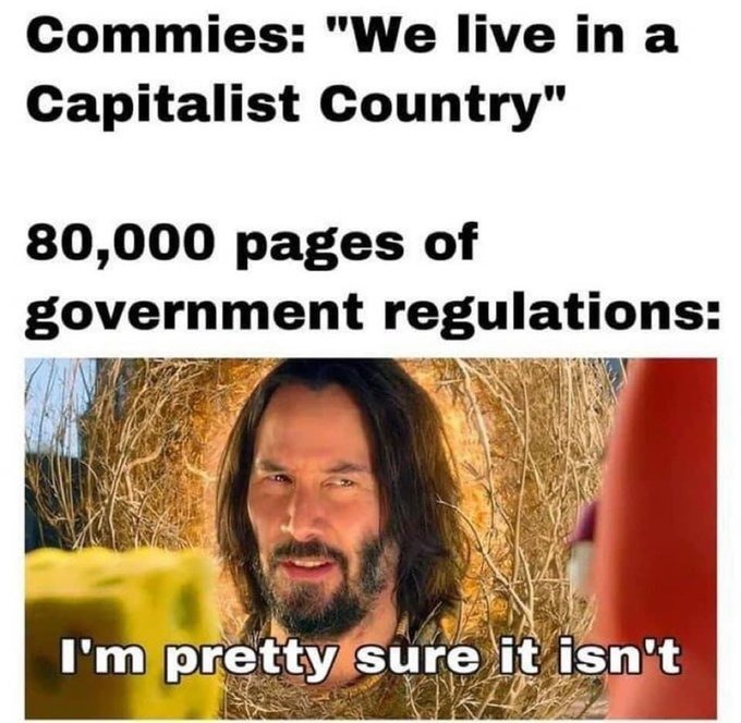 Socialist regulations are corrupting the system - meme