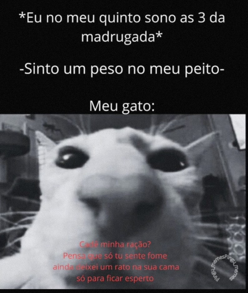 Xt - meme