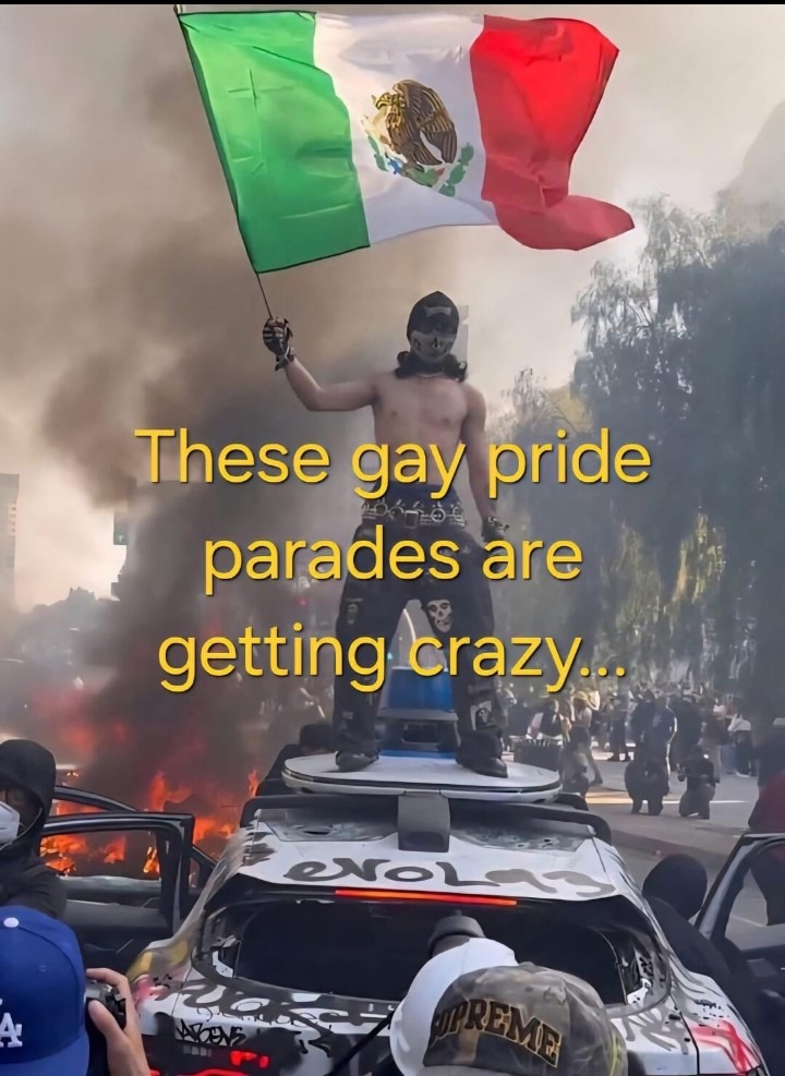 Flying your fucking Mexican flags here. I would never go to another country and fly the US flag. - meme
