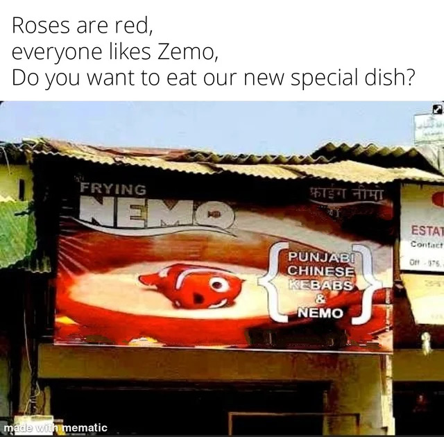 If Nemo is so special then why did he get caught like a total lamo? - meme