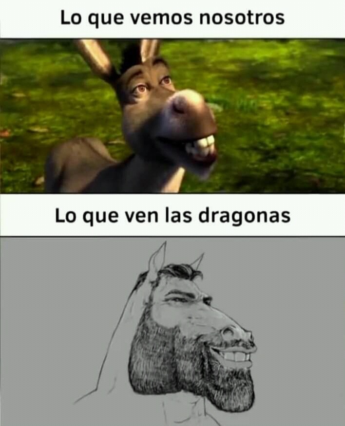 Burro - Meme by CARDAR :) Memedroid