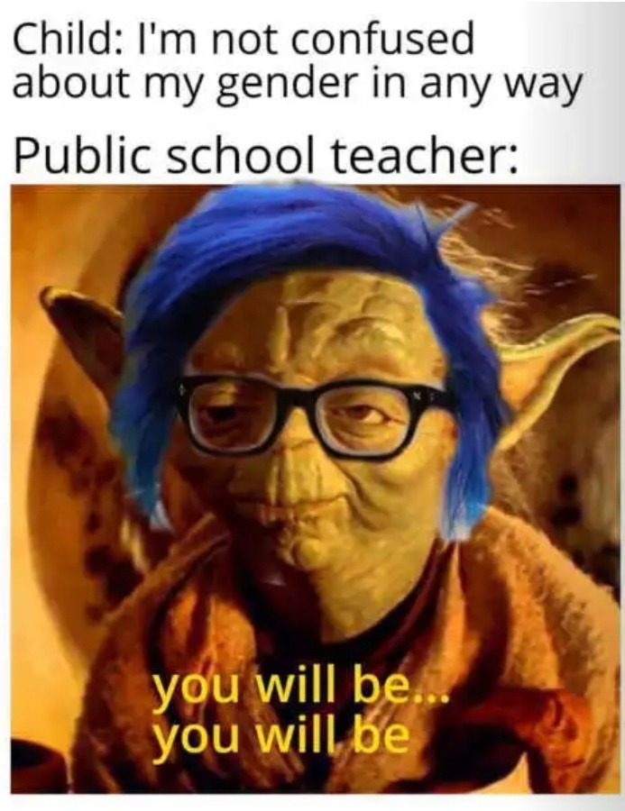 Private Christian Schools are the best ways to avoid these groomers - meme