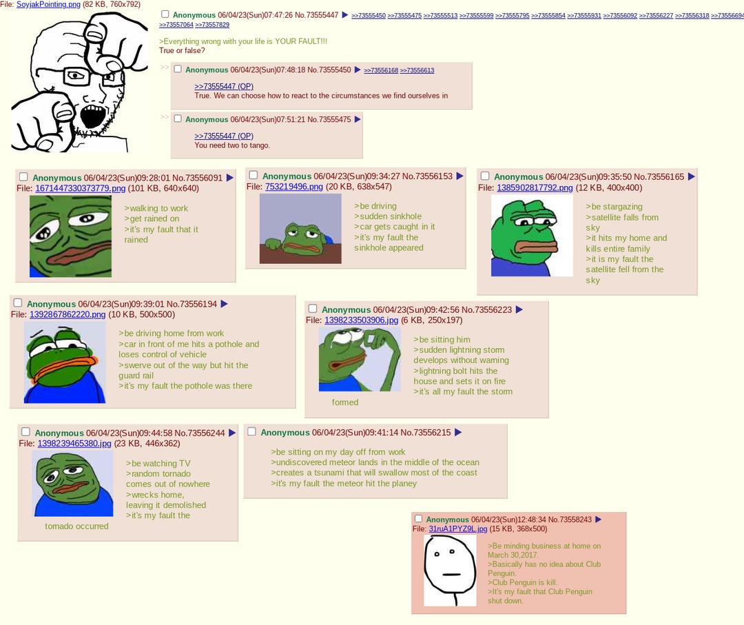 Anon,is it really your fault? - meme