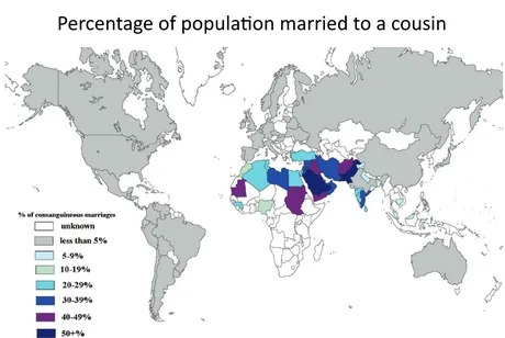 Percentage of population married to a cousin - meme