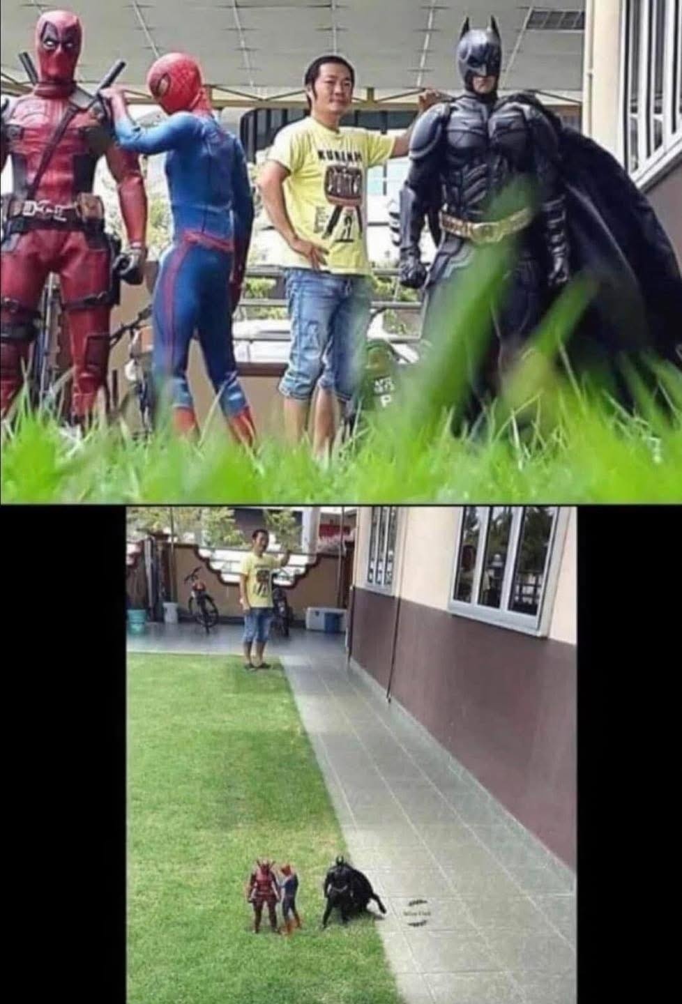 Skill - meme