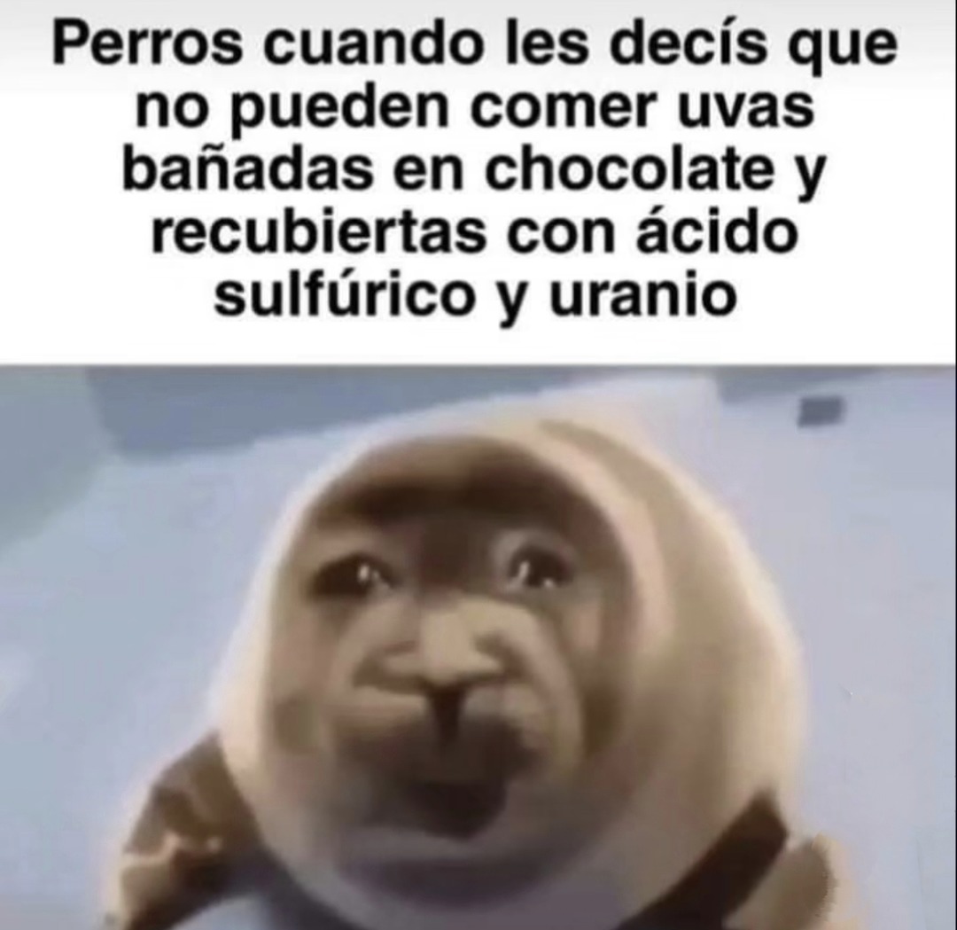 Perros cuando les decís que no pueden comer cosas radiactivas - meme