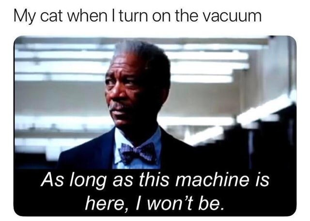 cats and vacuums - meme