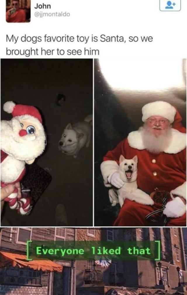 Dogs favorite toy is Santa - meme