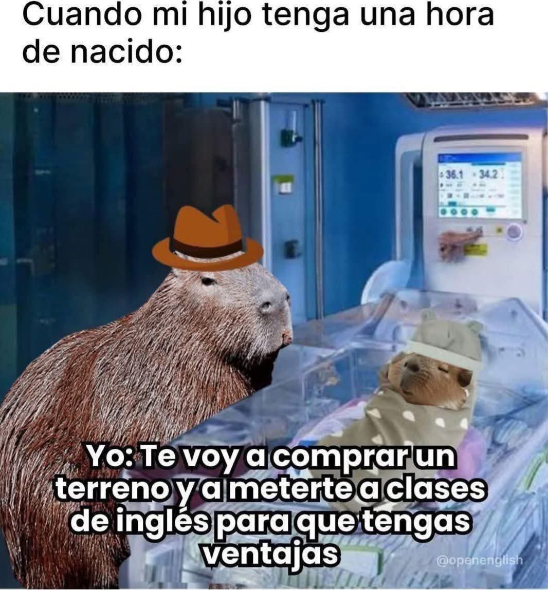 Cuando tu hijo nace y ya planeas su imperio - meme