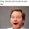 Chris Pratt visits a dog