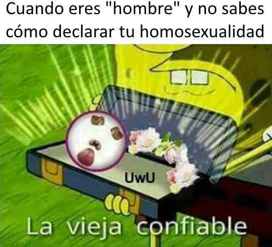 homo - meme