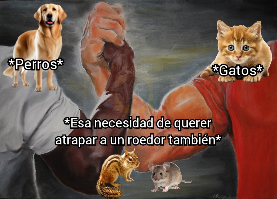 Amigos al final. - meme