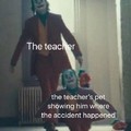 Teacher pet