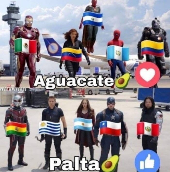 palta - meme