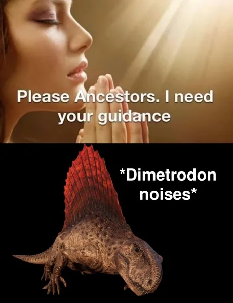 Dimetrodon quotes - meme