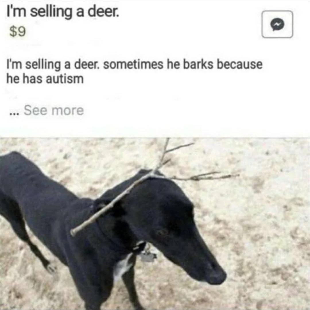 Cool deer - meme