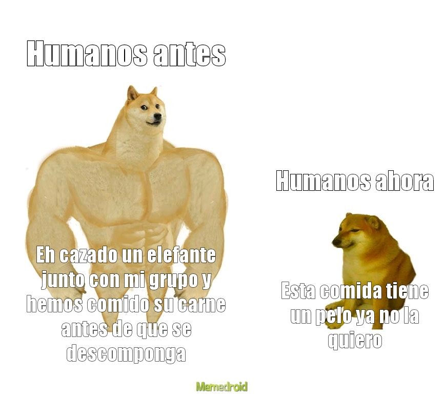 Vivimos plácidamente pero a que costo - meme