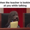 teachers pet