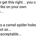 Fucking spider