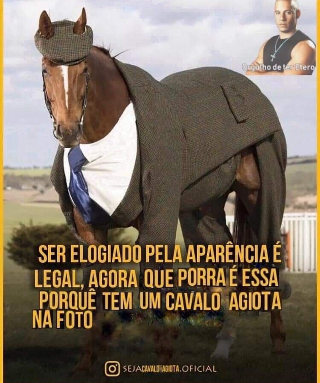 Cavalo - Meme by Giorno_Agiota :) Memedroid