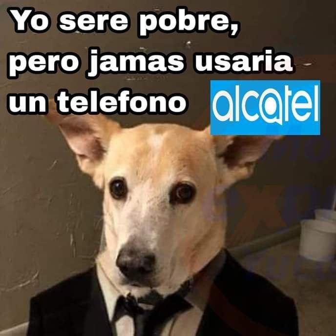 Quién tiene Alcatel - meme