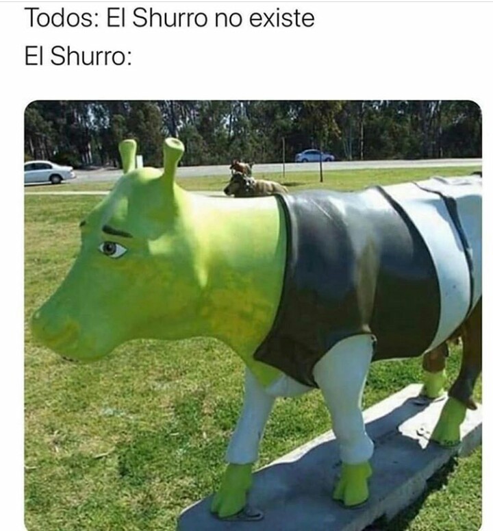 Shurro - meme