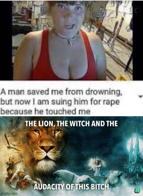 the lion the witch and the audacity of this bitch - meme