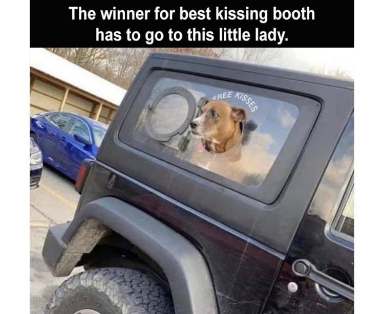 Kissing booth - meme
