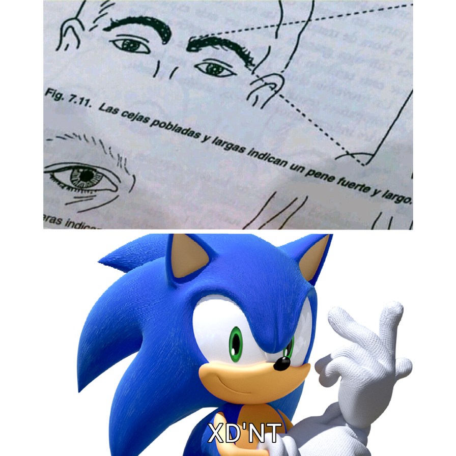 Sonic ni cejas tiene - meme