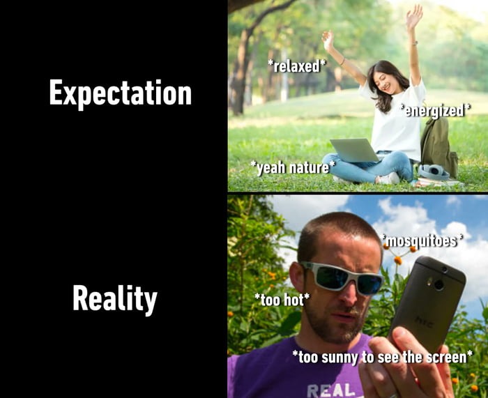 Summer expectations vs Reality - meme