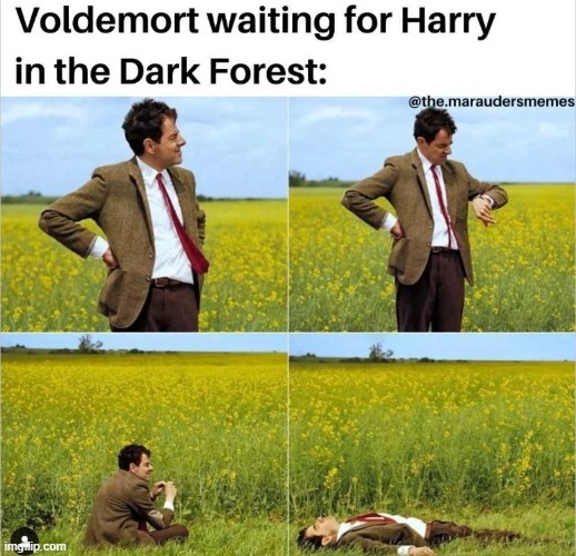 Voldemort waiting meme
