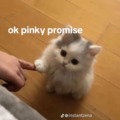 Pinky promise