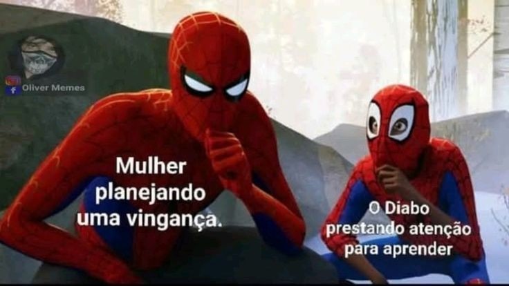 Aprendiz de mulher - meme