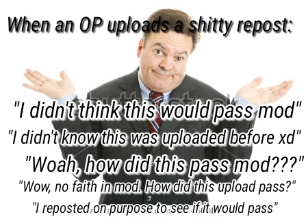 Literally every uploader who reposts - meme