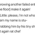 Rat chef