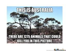 Australia be like - meme