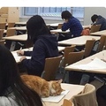 he sleep on test