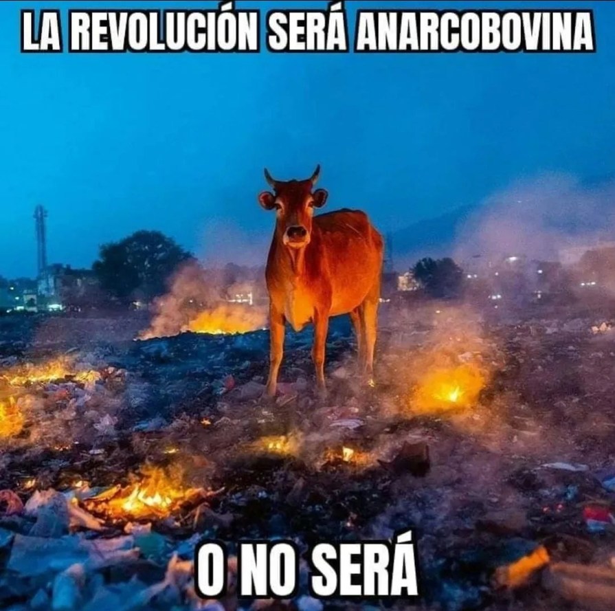 Revolución - meme