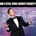 Elon Musk cringe red carpet poses meme