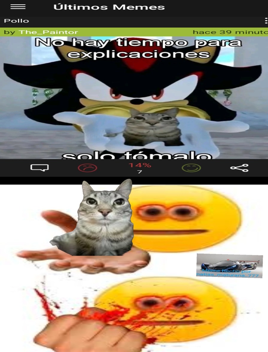 Odio ese gato con toda mi alma :no: - meme