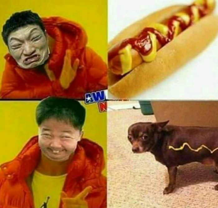 Hot dogo - meme