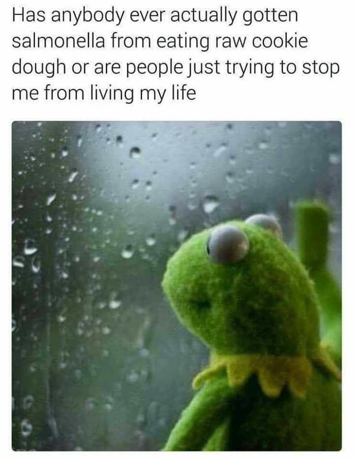 Cookie are life - meme
