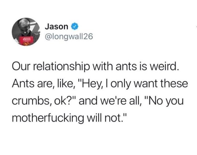 Our relationship with ants is weird - meme