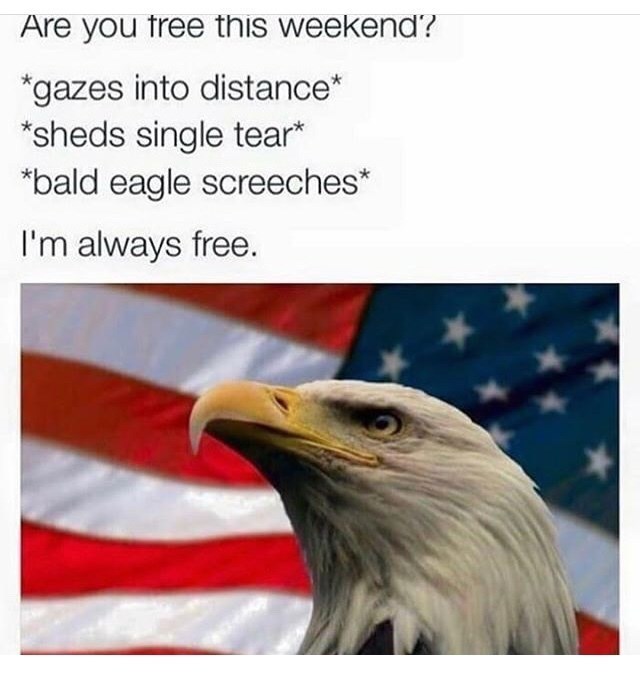 Freedom to be free - meme