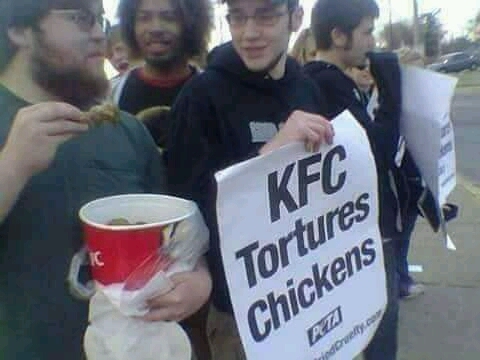 KFC Tortura Gallinas - meme
