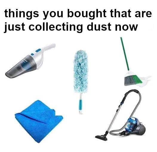 litteraly collecting dust - meme