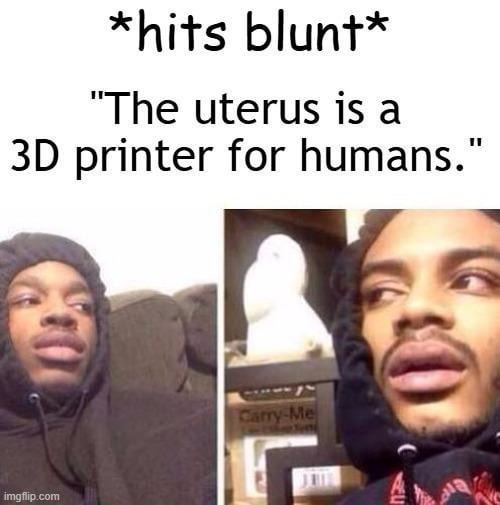 *hits blunt* Bro... the uterus is literally a human 3D printer - meme