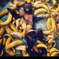 Les bananes c'est la vie