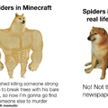 Real life vs. Minecraft